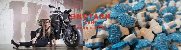 стаф Алексеевка