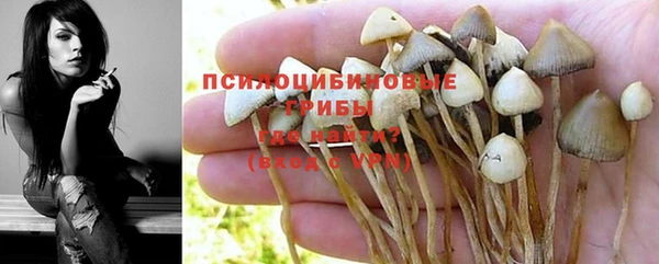 бутират Алзамай